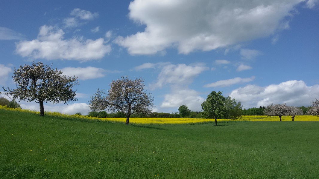 Landschaftliche Impressionen